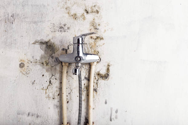 Mold Testing and Removal in Raymond, MS