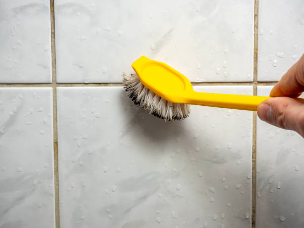 Best Water Damage Restoration  in Raymond, MS