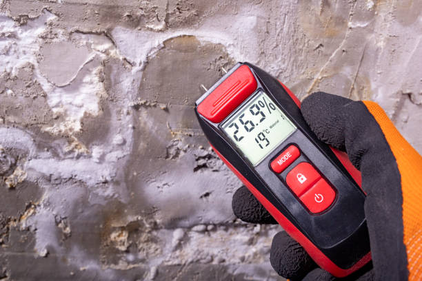 Best Local Mold Removal Service  in Raymond, MS