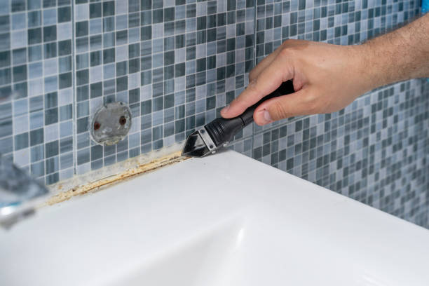 Best Office Mold Removal Services  in Raymond, MS