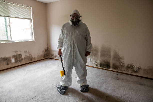 Best Emergency Mold Removal  in Raymond, MS